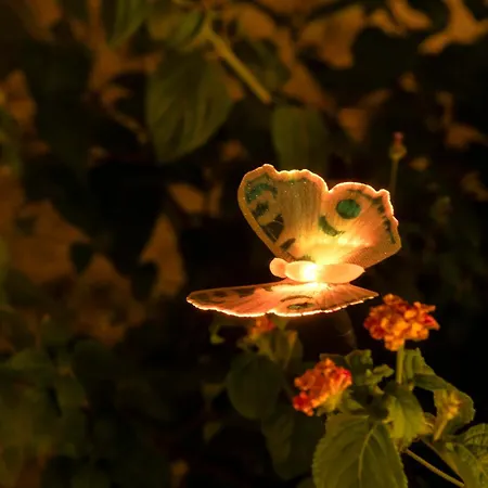 公寓 Chiwi's 瓦多利古雷