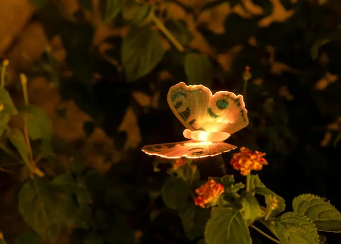 Appartement Chiwi's Vado Ligure